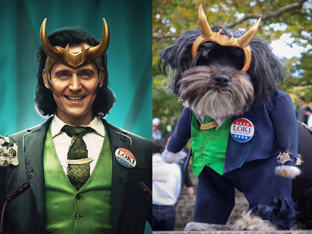 "Loki For President" Cosplay...but for Dogs. Meet "Loki for "PAW"sident!"
